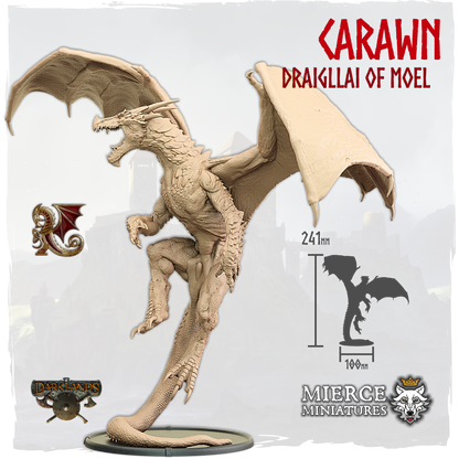 Carawn, Draigllai of Moel