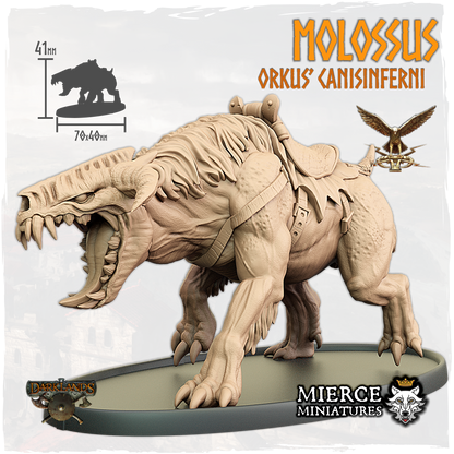 Molossus, Orkus' Canisinferni
