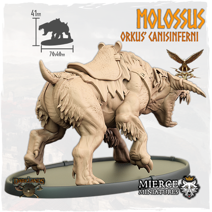 Molossus, Orkus' Canisinferni