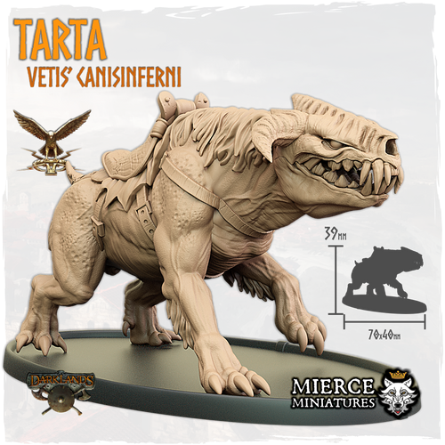 Tarta, Vetis' Canisinferni