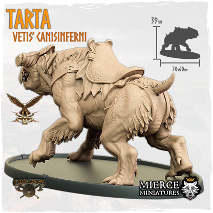 Tarta, Vetis' Canisinferni