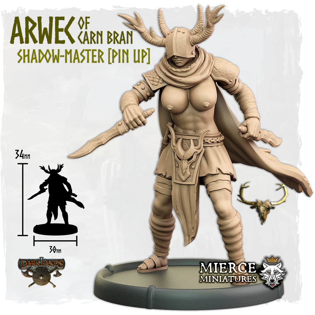 Arwec of Carn Bran, Shadow-Master on Foot [Pin Up]