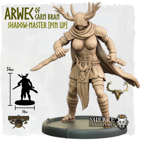 Arwec of Carn Bran, Shadow-Master on Foot [Pin Up]