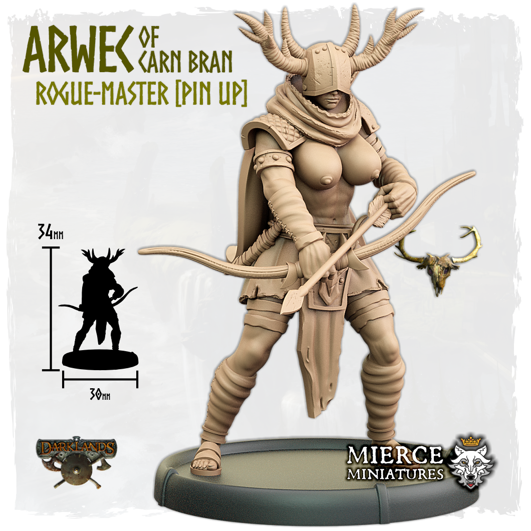 Arwec of Carn Bran, Rogue-Master on Foot [Pin Up]