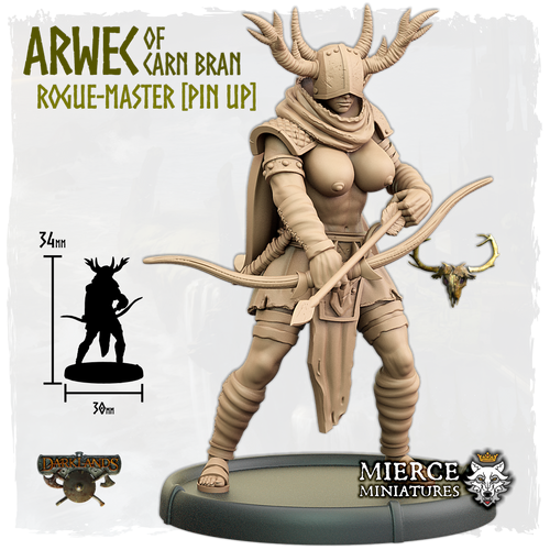 Arwec of Carn Bran, Rogue-Master on Foot [Pin Up]