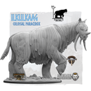 Ilkulkaag, Colossal Paracerox