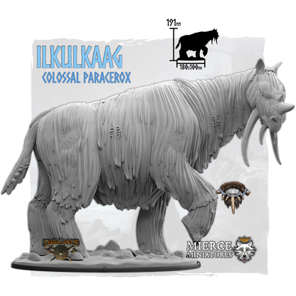 Ilkulkaag, Colossal Paracerox