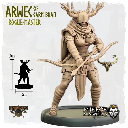 Arwec of Carn Bran, Rogue-Master on Foot