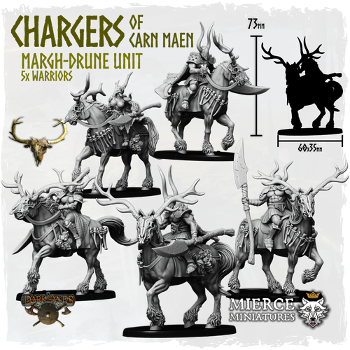 Chargers of Carn Maen, Margh-Drune Unit (5x warriors)