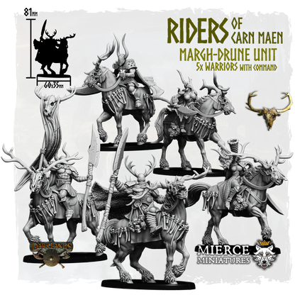 Riders of Carn Maen, Margh-Drune Unit (5x warriors w cmd)