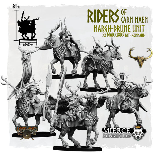 Riders of Carn Maen, Margh-Drune Unit (5x warriors w cmd)