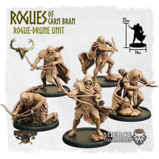 Rogues of Carn Bran, Rogue-Drune Unit (5x warriors w cmd)