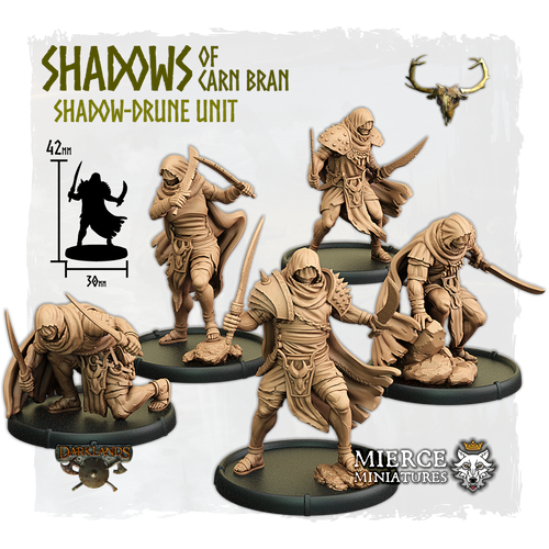 Shadows of Carn Bran, Shadow-Drune Unit (5x warriors w cmd)