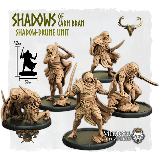 Shadows of Carn Bran, Shadow-Drune Unit (5x warriors w cmd)