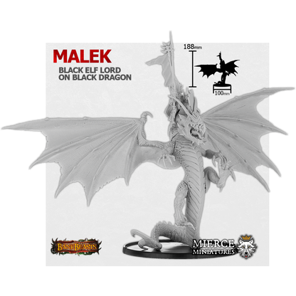 Malek, Black Elf Lord on Black Dragon