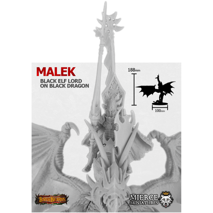 Malek, Black Elf Lord on Black Dragon
