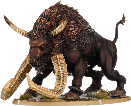 Oso, Aurogg