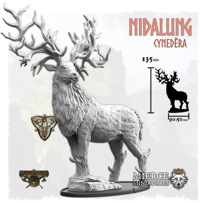 Nidalung, Cynedēra