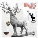 Nidalung, Cynedēra