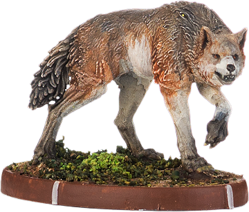 Thura, Wulf
