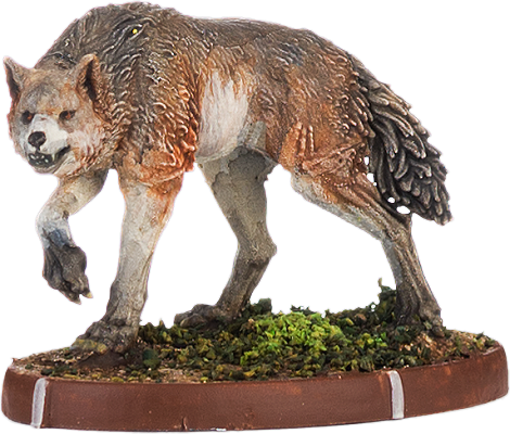 Althura, Wulf