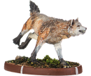 Ina, Wulf