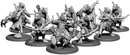 Sigewulf's Pack, Werwulf Hunter Unit (10x warriors w cmd)
