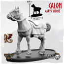 Calon, Carys' Horse