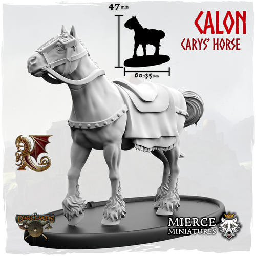 Calon, Carys' Horse