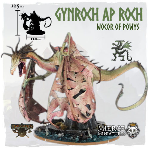 Gynroch ap Roch, Wocor of Powys
