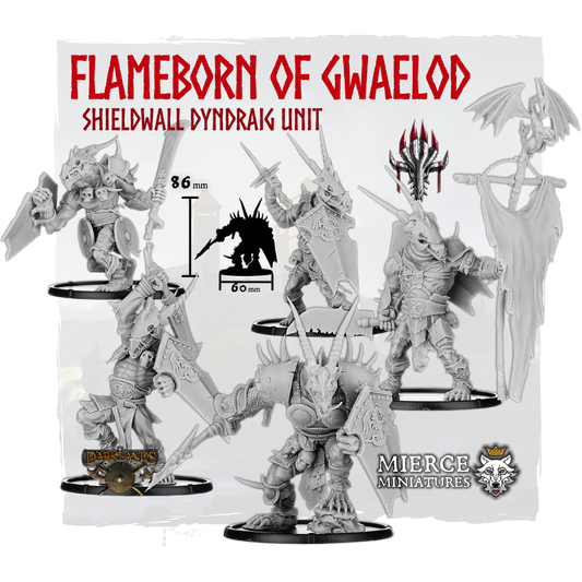 Flameborn of Gwaelod, Shieldwall Dyndraig Unit