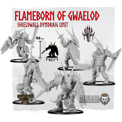 Flameborn of Gwaelod, Shieldwall Dyndraig Unit