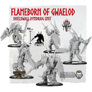 Flameborn of Gwaelod, Shieldwall Dyndraig Unit