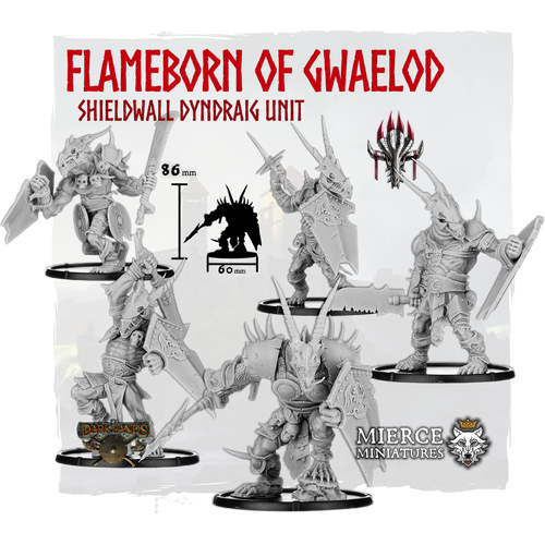 Flameborn of Gwaelod, Shieldwall Dyndraig Unit