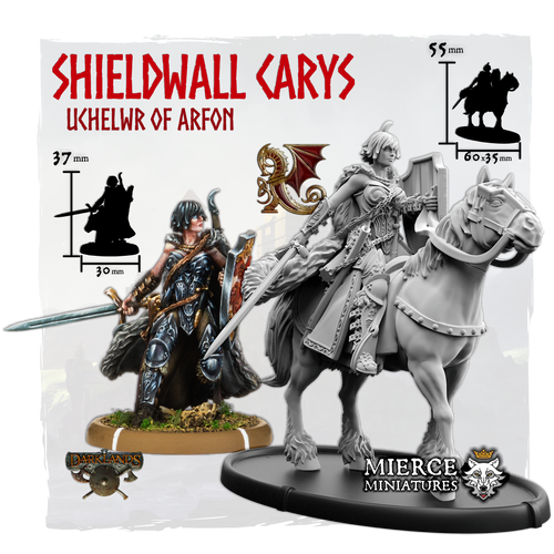 Shieldwall Carys, Uchelwr of Arfon on Foot and on Horse