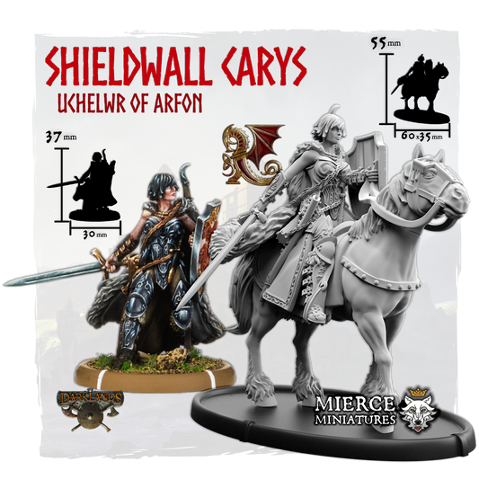 Shieldwall Carys, Uchelwr of Arfon on Foot and on Horse