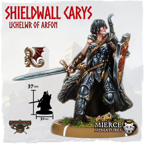 Shieldwall Carys, Uchelwr of Arfon on Foot