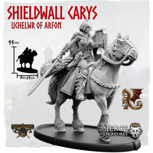 Shieldwall Carys, Uchelwr of Arfon on Horse