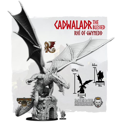 Cadwaladr the Blessed, Rhi of Gwynedd on Foot and on Draiggoch