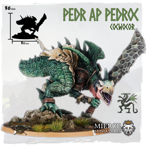 Pedr ap Pedroc, Cocwocor Warrior