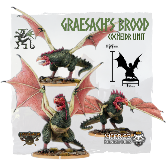 Graesach's Brood, Cocneidr Unit