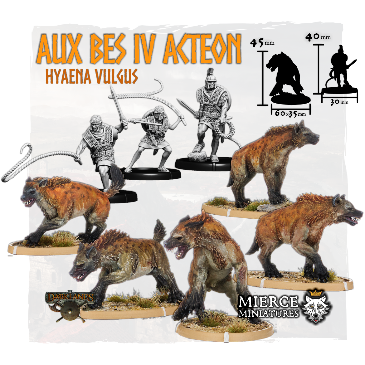 Aux Bes IV Acteon, Hyaena Vulgus