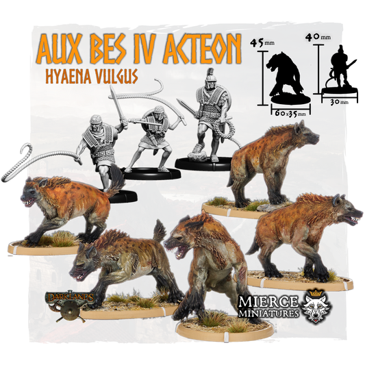 Aux Bes IV Acteon, Hyaena Vulgus