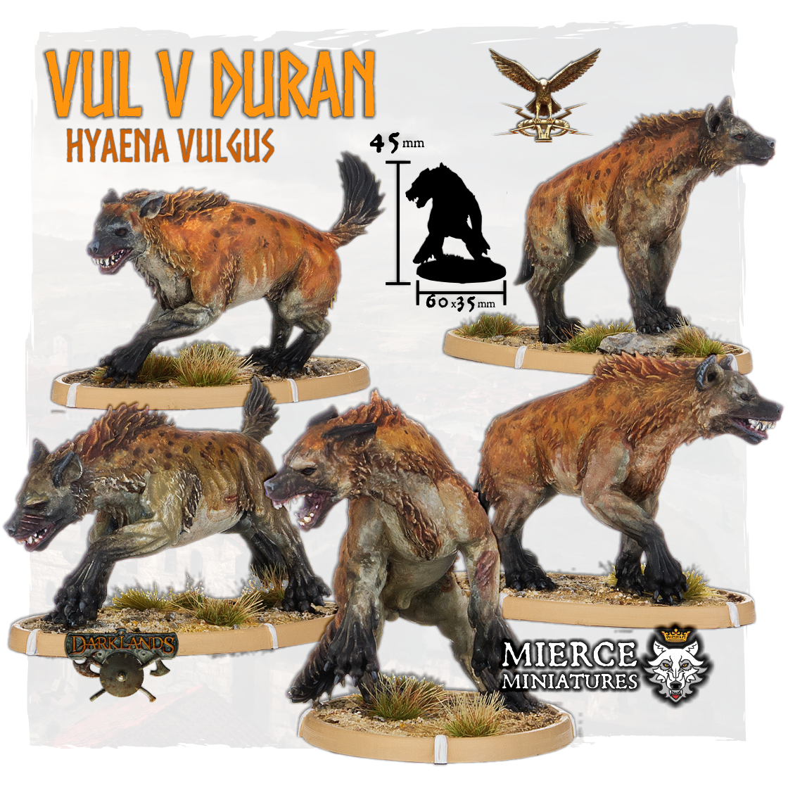 Vul V Duran, Hyaena Vulgus