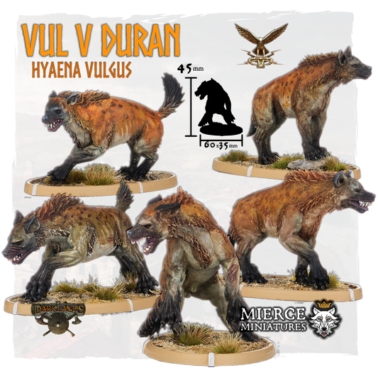 Vul V Duran, Hyaena Vulgus
