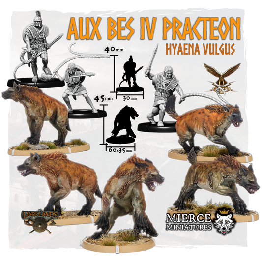 Aux Bes IV Practeon, Hyaena Vulgus