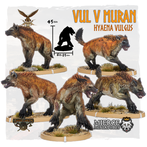 Vul V Muran, Hyaena Vulgus