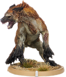 Duran, Hyaena