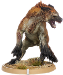 Muran, Hyaena