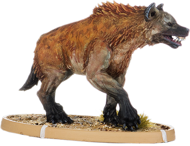 Uccumu, Hyaena